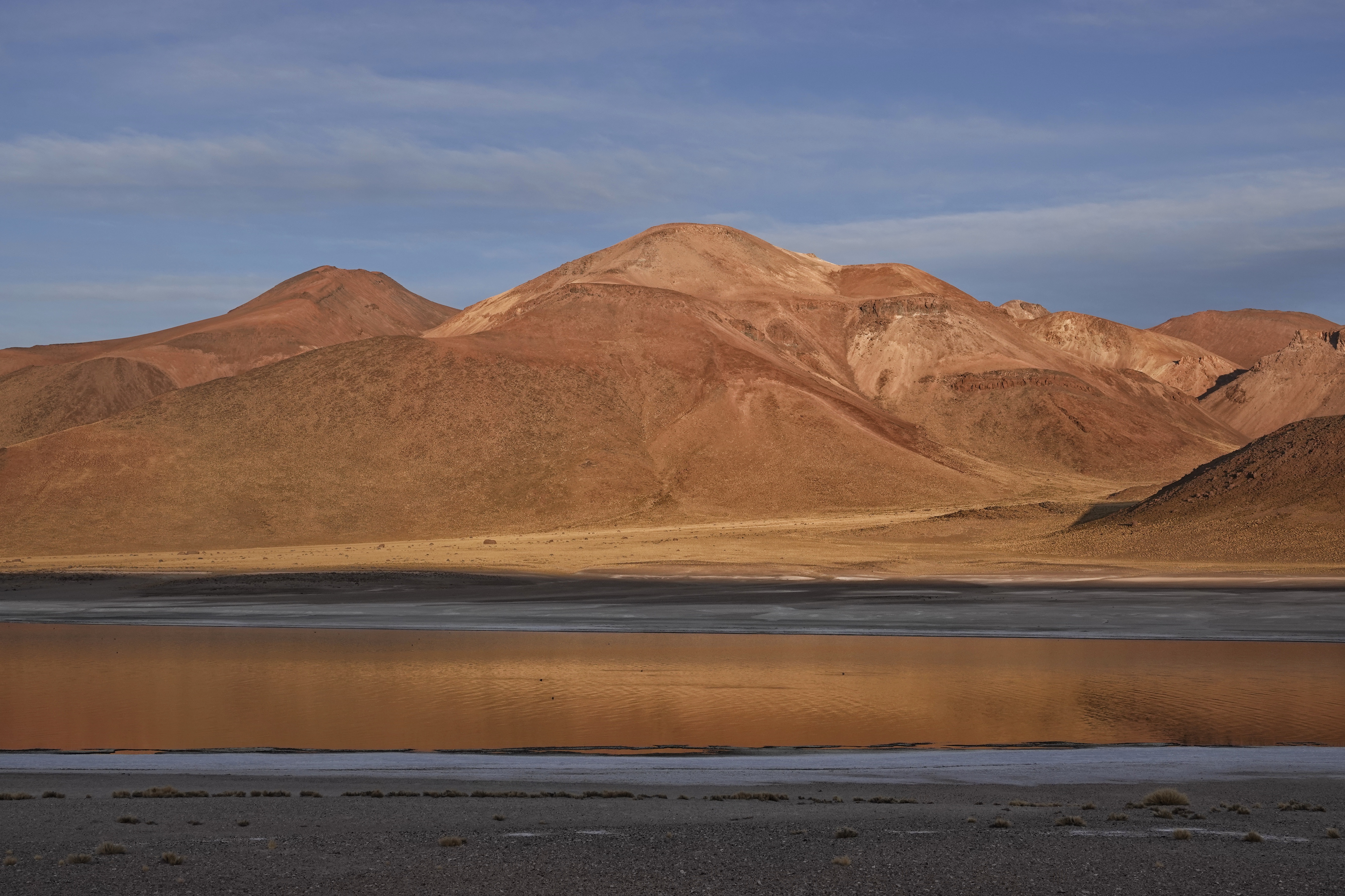 Lagune d'altitude dans l'Atacama